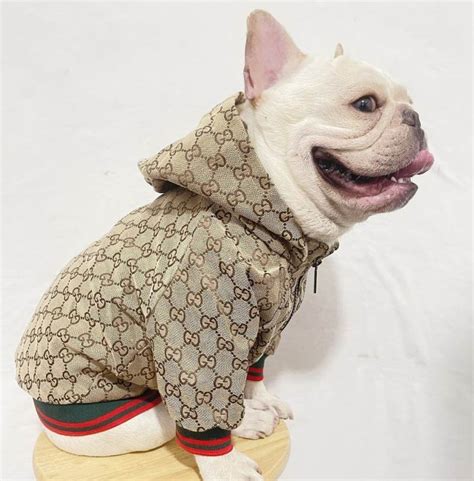 gucci dog food|gucci pet clothing.